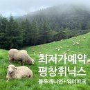 휘닉스모텔 | 실시간 휘닉스 리조트 평창 워터파크 블루캐니언 패키지 최저가 예약 오픈 ❤️‍🔥