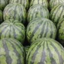 (주)농협하나로유통 하나로마트 이미지