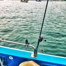커피철인28호