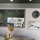 디딤동물병원 이미지