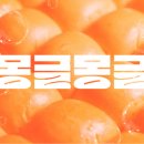 릭스(Rix) 이미지