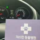 자스민 동물병원 이미지