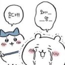 당고집 이미지