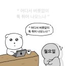 마야미용실 | 🇹🇭 나혼자 치앙마이 (3) - 마지막편