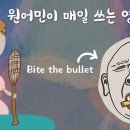 Bite the bullet, Night owl, Bad apple, Bend your ear(4월5일) 이미지