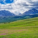 충일투어 Daum카페