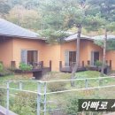 꼬미엔소 이미지