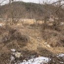 기안.당촌 네이버블로그