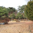 푸른솔관광농원야영장 이미지