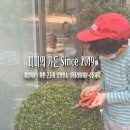 미미화원 이미지