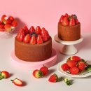 파리바게뜨 신상 케이크 컨셉.......jpg 이미지