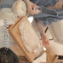 강릉댕댕이애견펜션블루 이미지