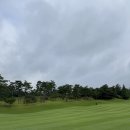 코스카cc 이미지