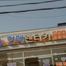 현대디씨렌트카 | 강원도 강릉 렌트카 렌트 추천 현대디씨렌트카 다양한 차종과 친절한 서비스