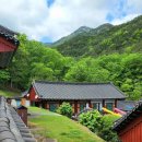 곡성-271 | 곡성 가볼만한 곳, 원효대사가 창건한 도림사