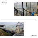 조인트하우스 이미지