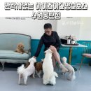 아이조아요양보호소 동탄점 | 안락사없는 보호소 아이조아 수원동탄점/ 동물보호소