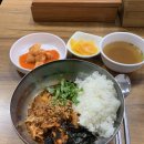 빛날개 | 안 갔으면 손주 시대까지 억울했을 2025년 오아시스 내한 공연 후기