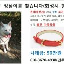 정남이