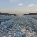 거북이펜션 이미지