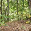 가평땅부동산중개사무소 이미지