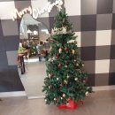 신다문화행정사 이미지