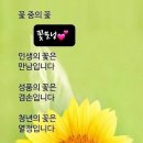 " 인생의 바둑 " 이미지