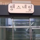 땡쓰네일 - 시흥시 | 땡쓰네일