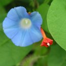 여로커피숍