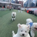 유니독스 이미지