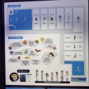 🩺 꼬마 의사가 된 산새반! 드림닥터 직업체험 이야기 이미지