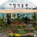 일심당한의원 네이버블로그