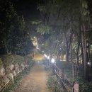 산호동547 이미지