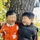 무양공원 놀이터(무양) 이미지