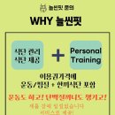 핫점핑다이어트 이미지