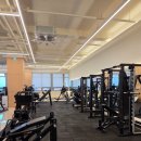 그린휘트니스 이미지