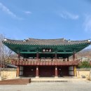 박진 효자비 이미지