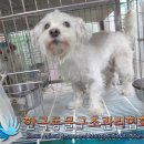 일신교통 이미지