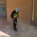 충주중앙탑초병설유 | 충주중앙탑초등학교 병설유치원 모래소독 : 3479번째 후기