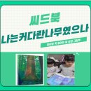 그림책과 함께하는 환경이야기 | 🌳환경 그림책 추천 l 나는 커다란 나무였으나 l 아이와 함께 읽은 후기