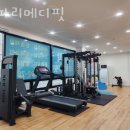 라파리메디핏 이미지