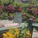 모리아펜션 이미지