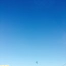 양세환생면국수 이미지