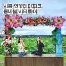 시흥 시티투어 연꽃테마파크 관곡지 가볼만한곳