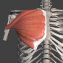 휘트니스 에스온 이미지