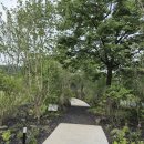 🦋서울 국제 정원박람회(보라매공원) 이미지