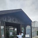 용농장 | 제주동쪽여행/ 김정문 알로에 농장 무료 관람 후기