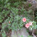 서당공원 화장실 이미지