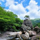 국선도&기천문 이미지