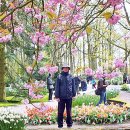 네델란드 풍경-코켄호프(Keukenhof-HOLLAND) 꽃 박람회장에서 이미지